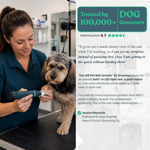 Groomies™ Pet Nail Grinder