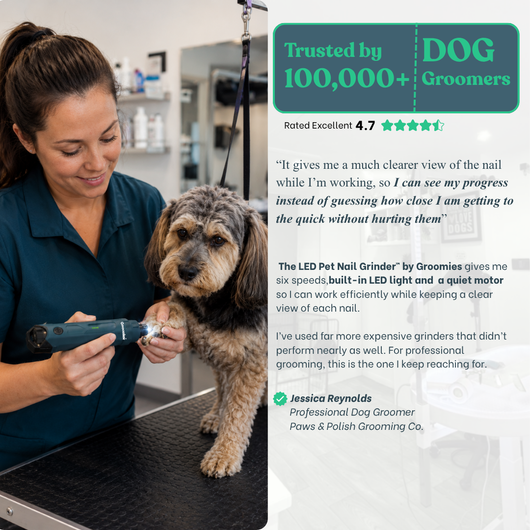 Groomies™ Pet Nail Grinder