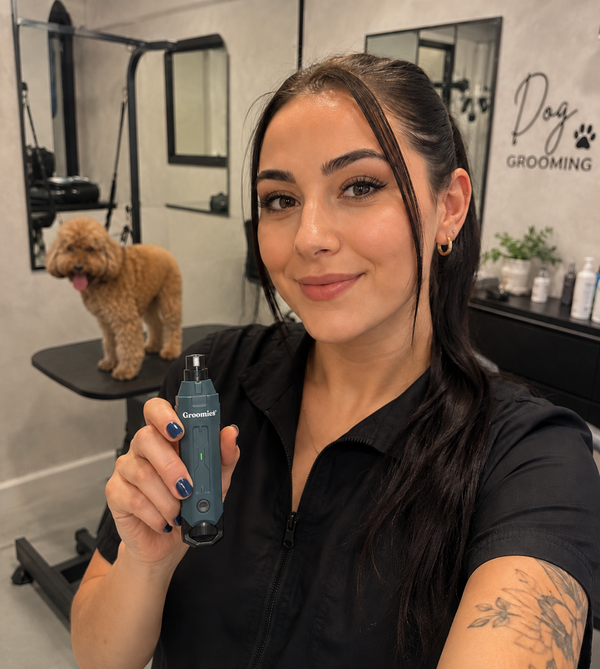 Dog Groomer