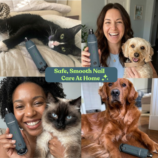 Groomies™ Pet Nail Grinder