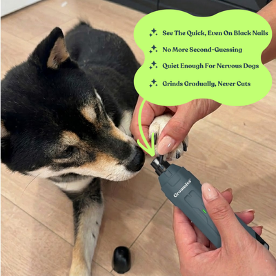 Groomies™ Pet Nail Grinder