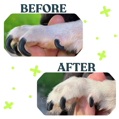 Groomies™ Pet Nail Grinder