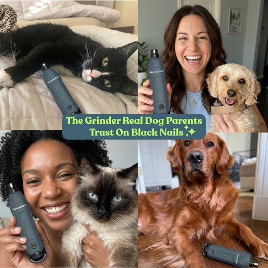 Groomies™ Pet Nail Grinder